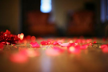 Top 10 Valentines Day Ideas - Rose Petals